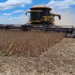 Safra de soja 2025/2026: produtividade média estadual fecha em 60,40 sacas por hectare