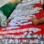 Feira de Sementes Crioulas chega à 9ª edição e convida comunidade para celebrar a cultura do campo